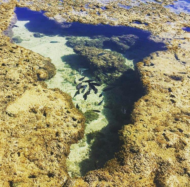 Pousada Maracabana Spa Pôrto das Galinhas Εξωτερικό φωτογραφία